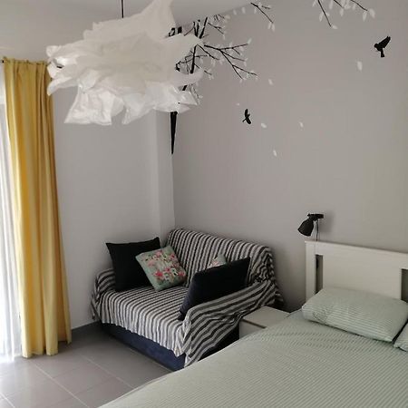 Elef Apartment 帕拉利亚狄奥尼索 外观 照片